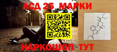 СК Гуково